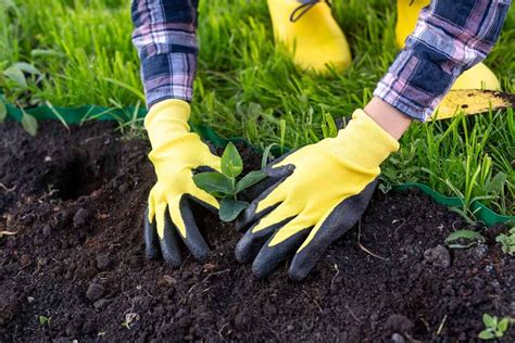 best garden gloves for fertilizer.